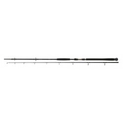 EXCELER CATFISH 2,70m 200-600g DAIWA