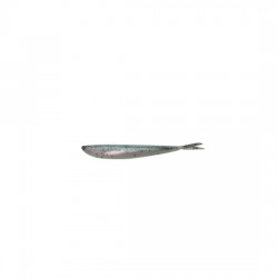 Fin-S Fish Rainbowtrout 4" Lunker City