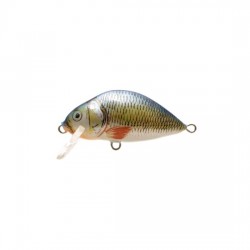 Lake 7cm B Dorado