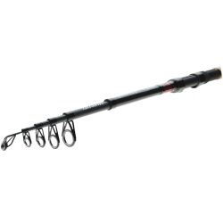 Daiwa Wędka Ninja X Tele Carp 3m 60-110g