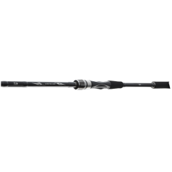 Daiwa Wędka Exceler Spin 2,7m 20-60g