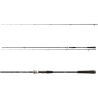 Daiwa Wędka Exceler Sea Trout 3,15m 15-40g