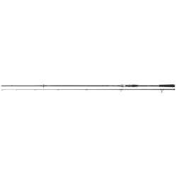 Daiwa Wędka Exceler Sea Trout 3,15m 15-40g