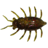 FishUp Chrabąszcz Maybug 1,3" 045 Green Pumpkin/Red & Black