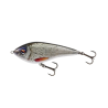 SWIM GLIDEBAIT LOW FLOATING 10cm REAL ROACH WESTIN