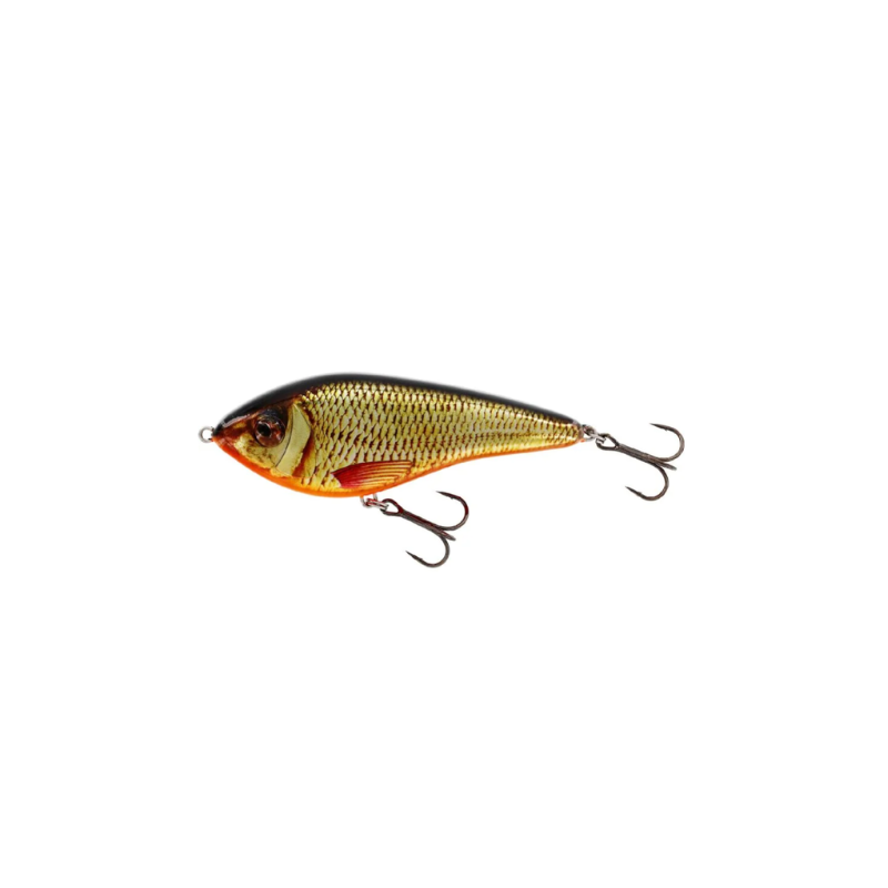 SWIM GLIDEBAIT LOW FLOATING 10cm REAL RUDD WESTIN